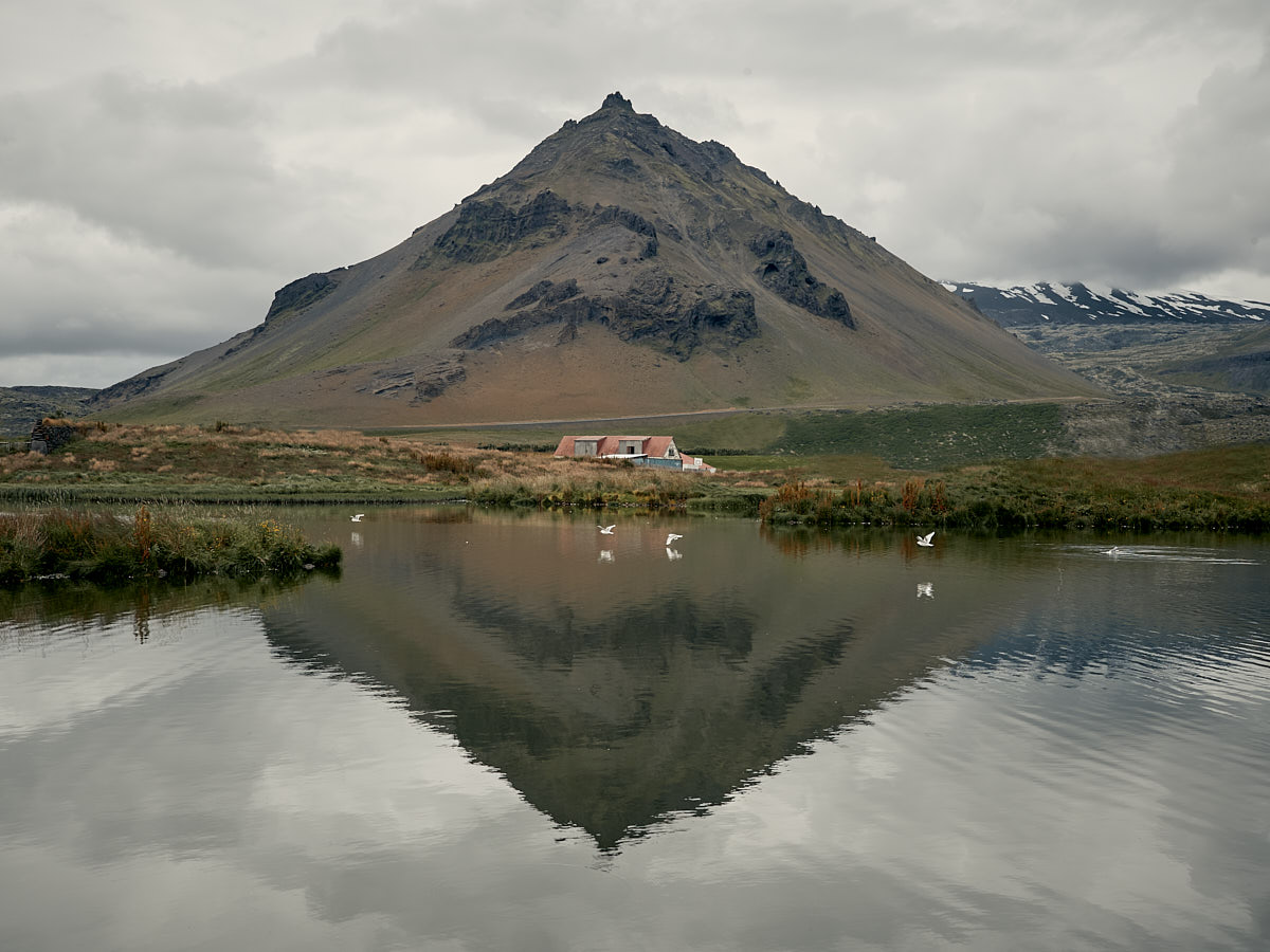 Islandia zachodnia - Arnarstapii