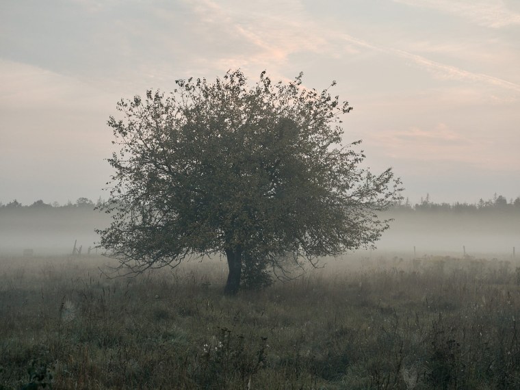 Podlasie na weekend 21 Podlasie na weekend 8200838