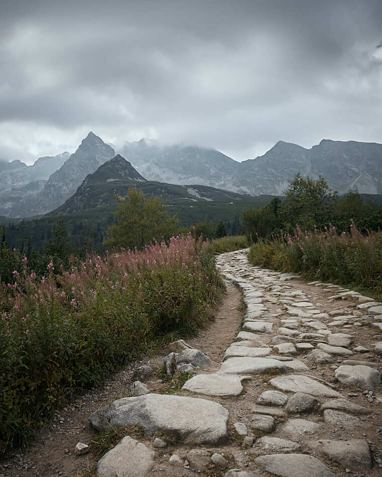 Szlak na Granaty - Orla Perć - szlaki w Tatrach